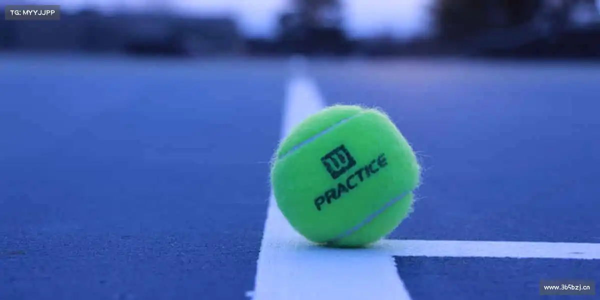 我们的品牌价值